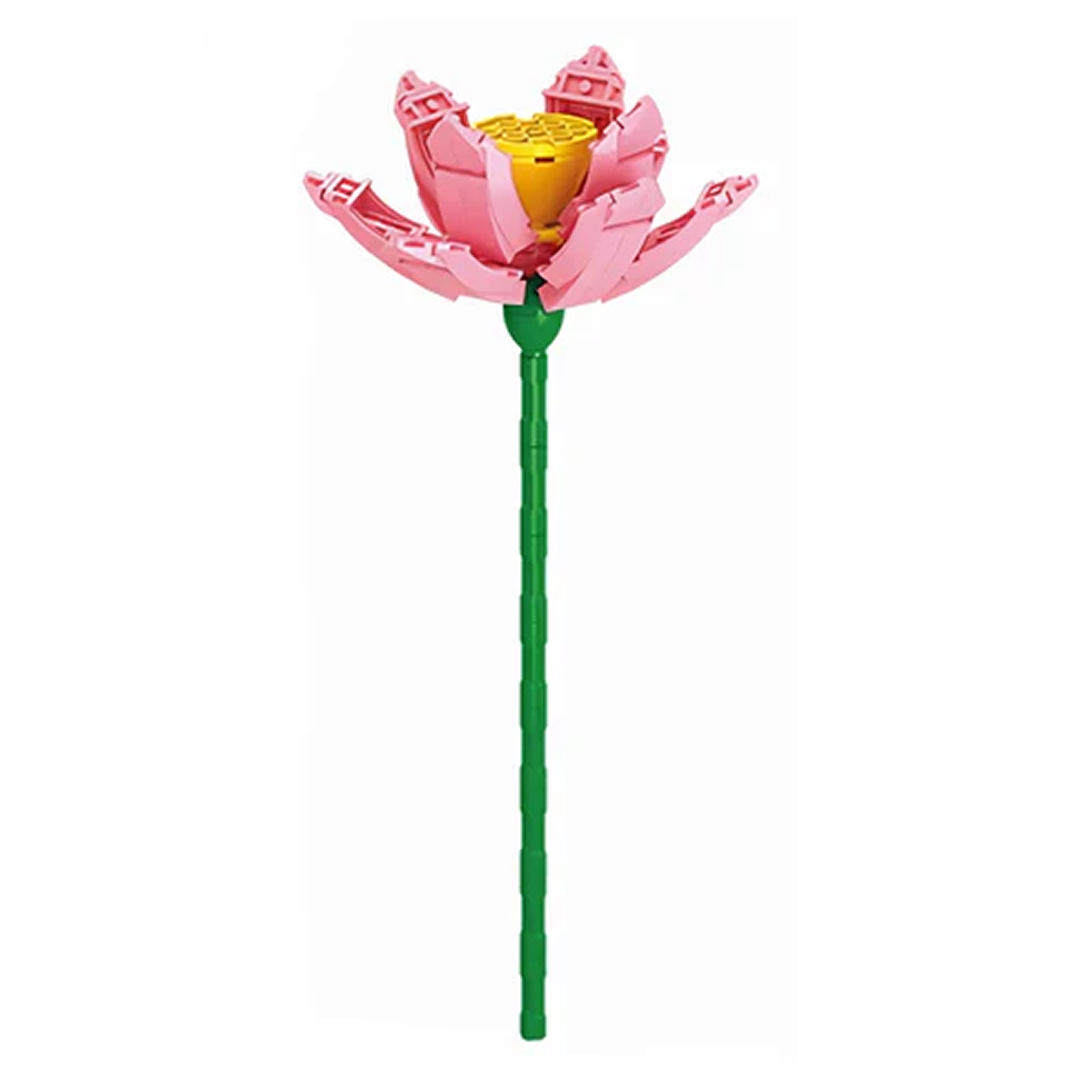 Lotus Flower