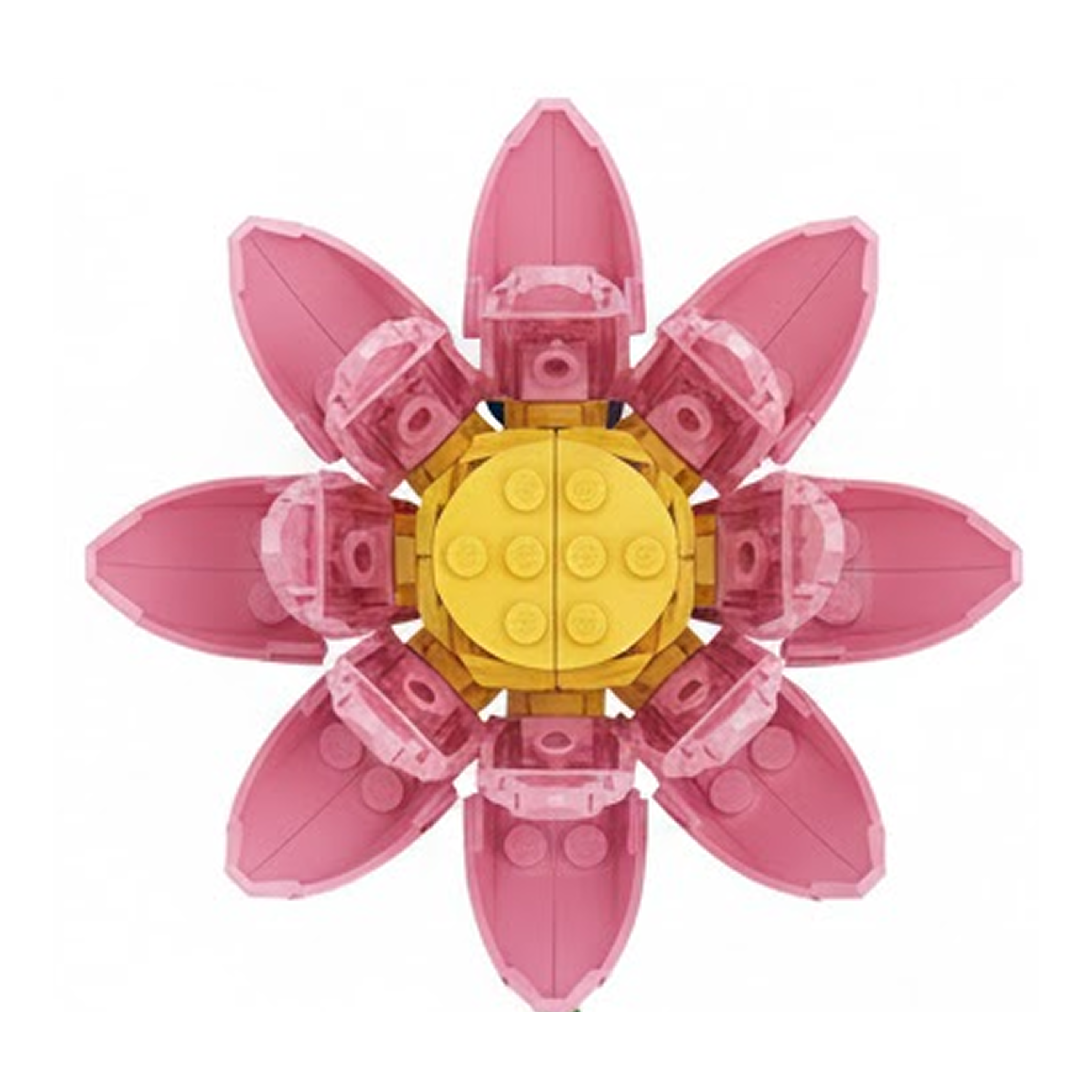 Lotus Flower