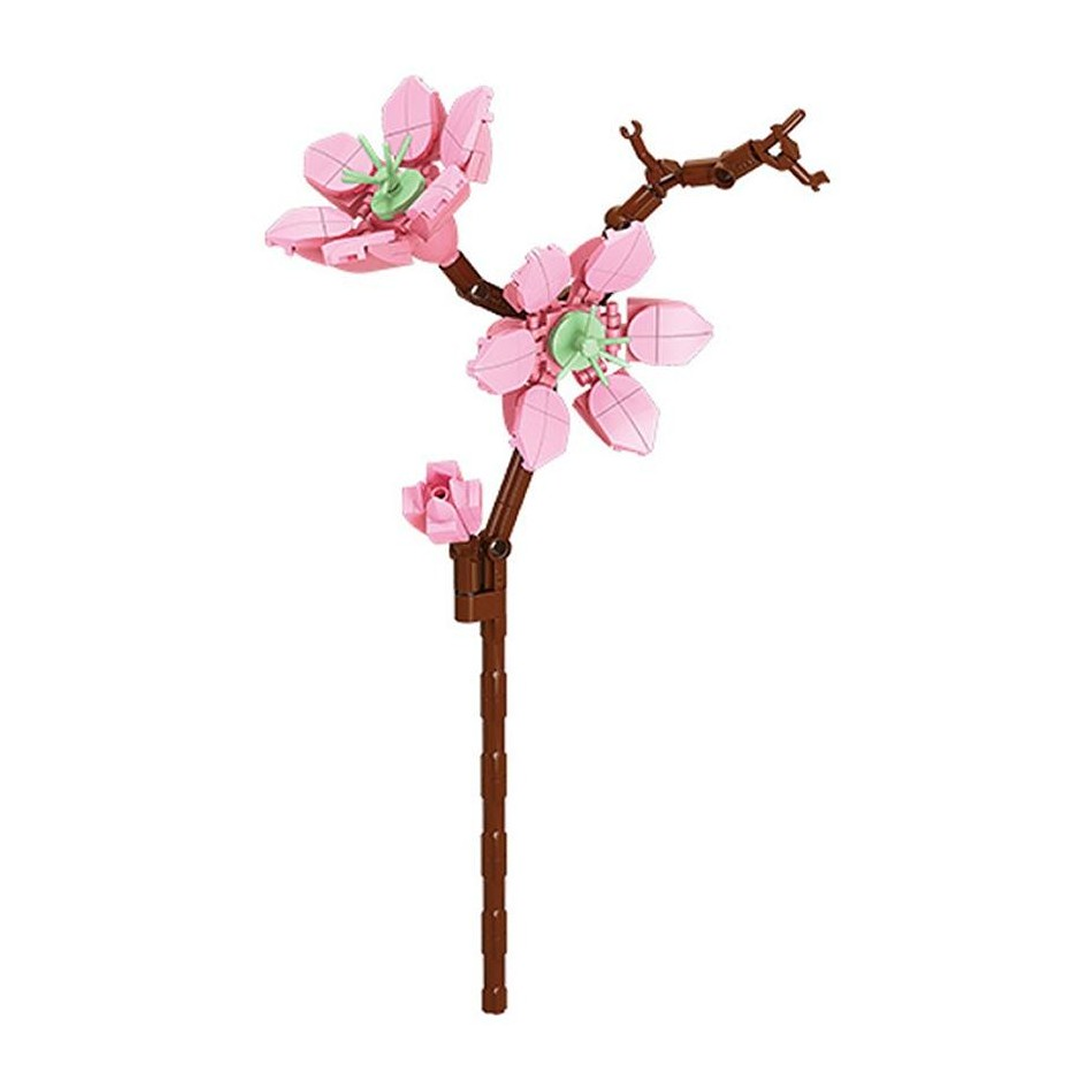 Peach Blossom