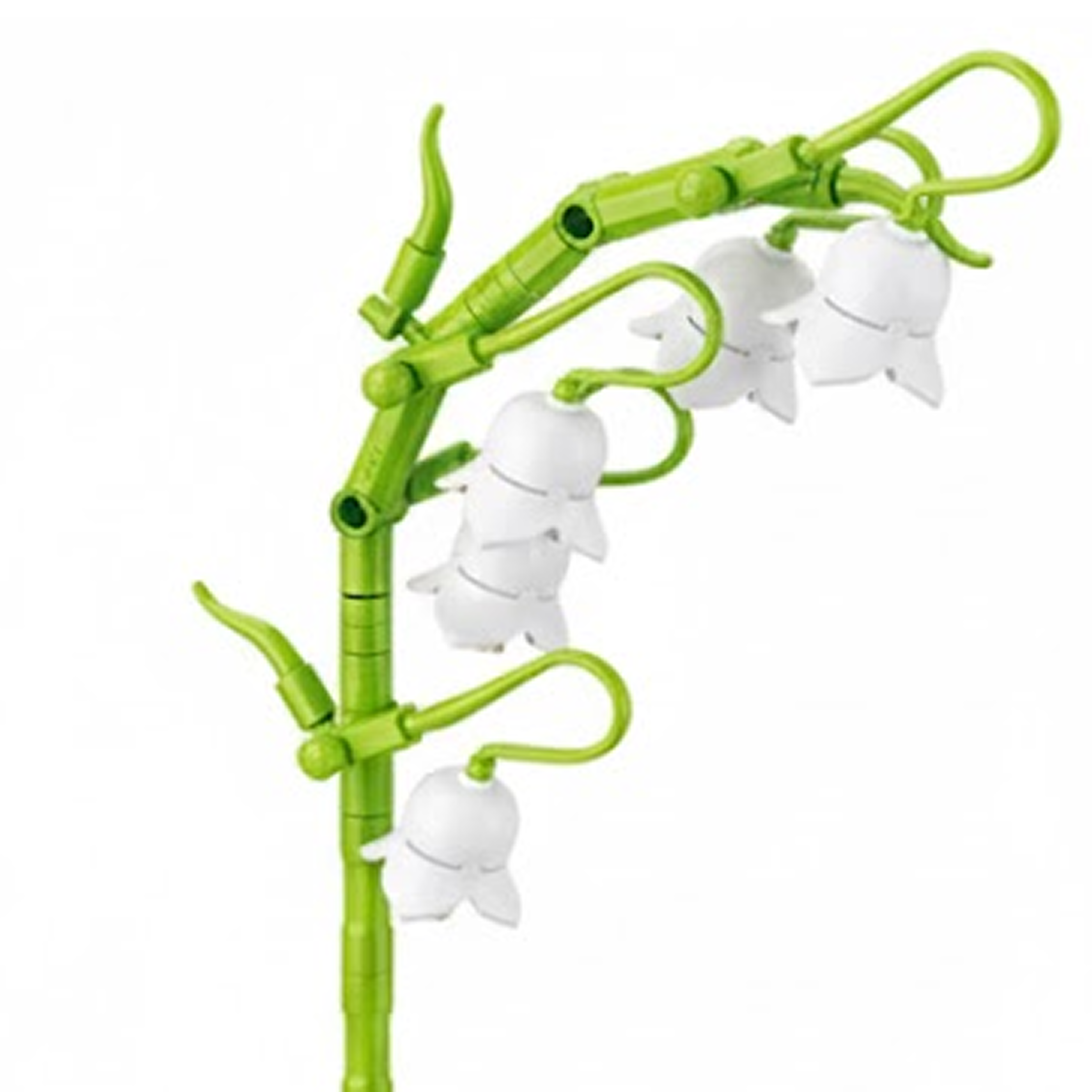 Convallaria