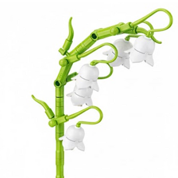 Convallaria