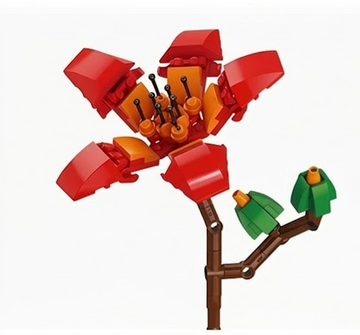 Bombax Ceiba