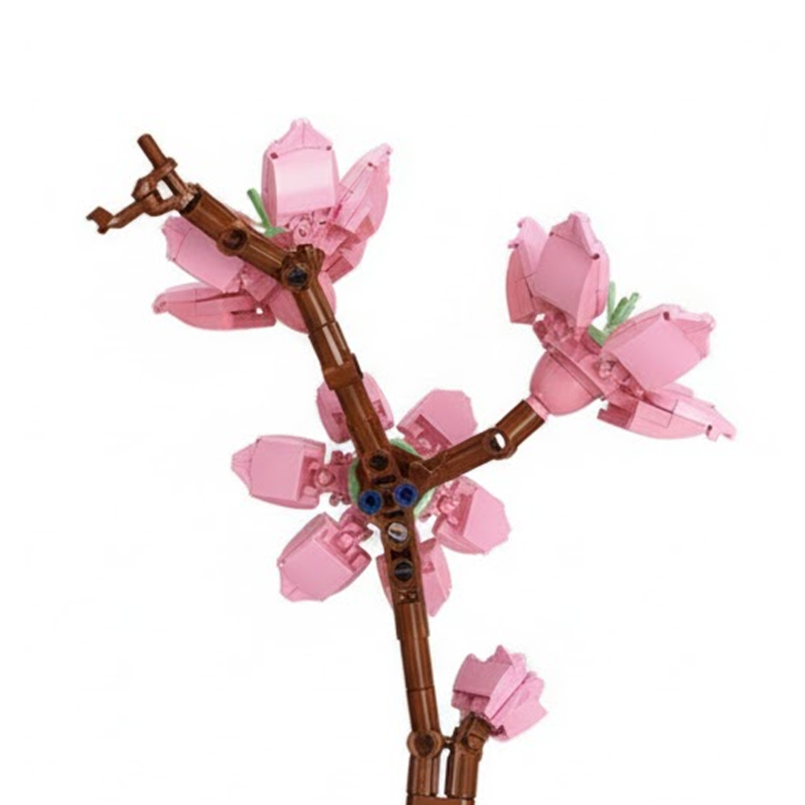 Peach Blossom