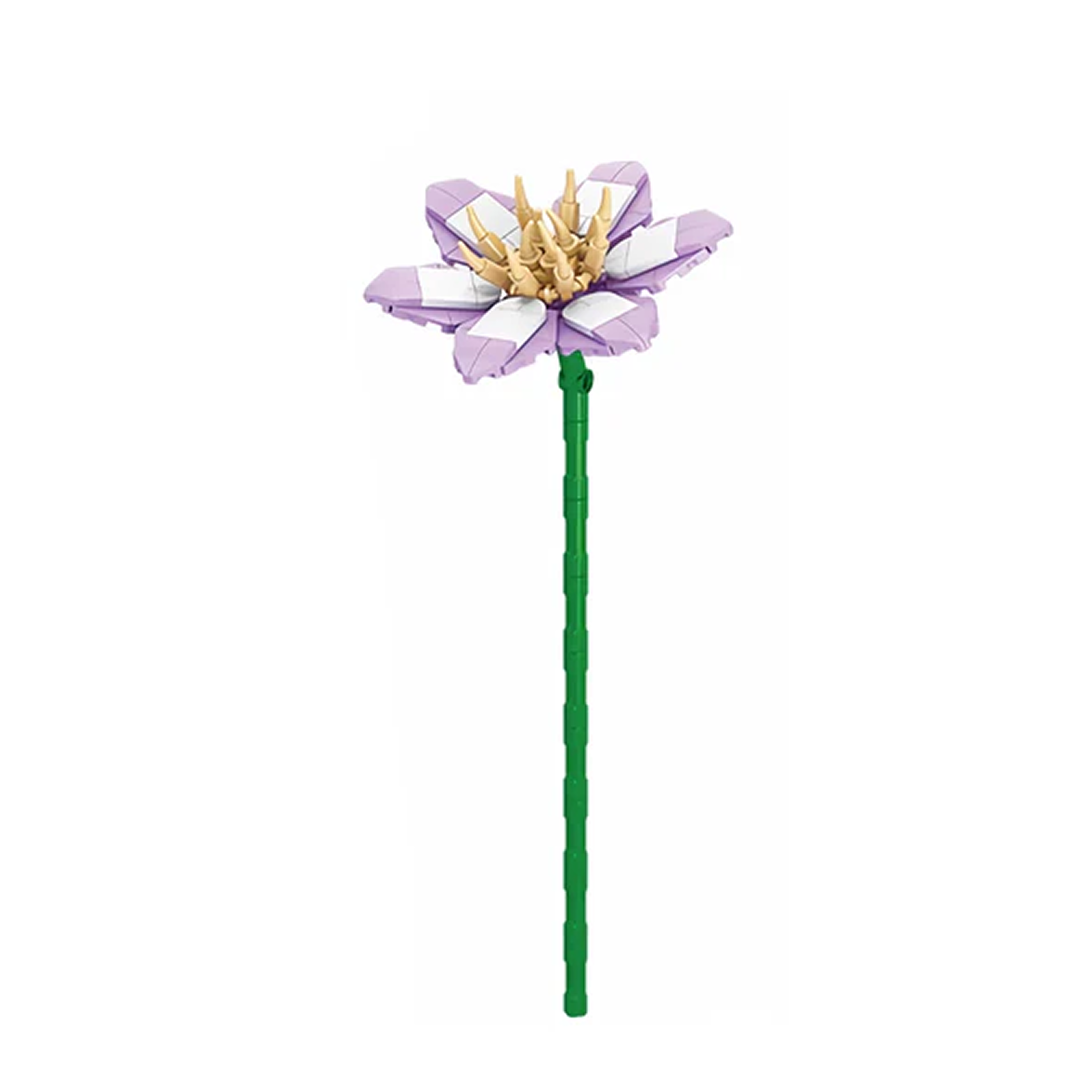 Clematis