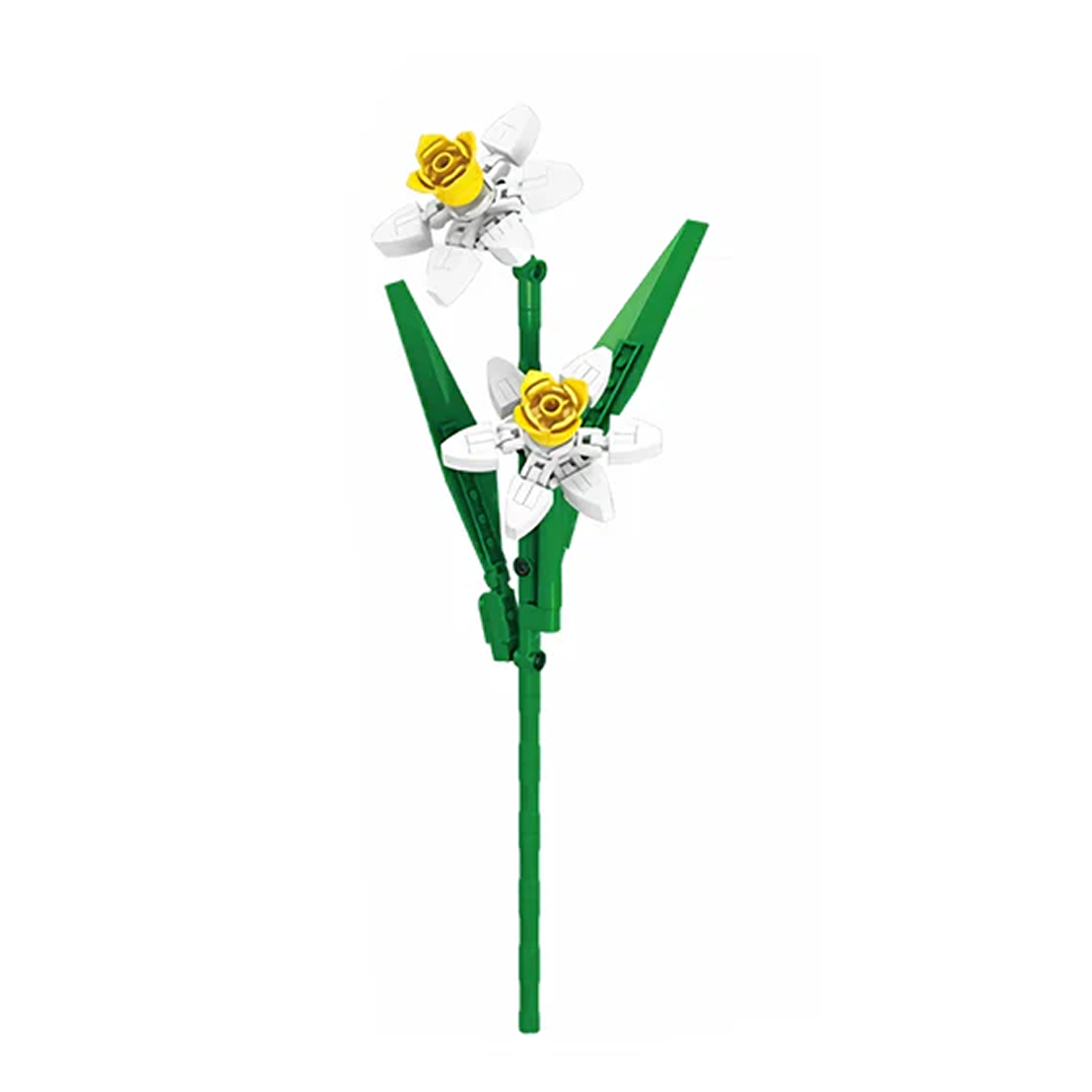 Daffodil Flower