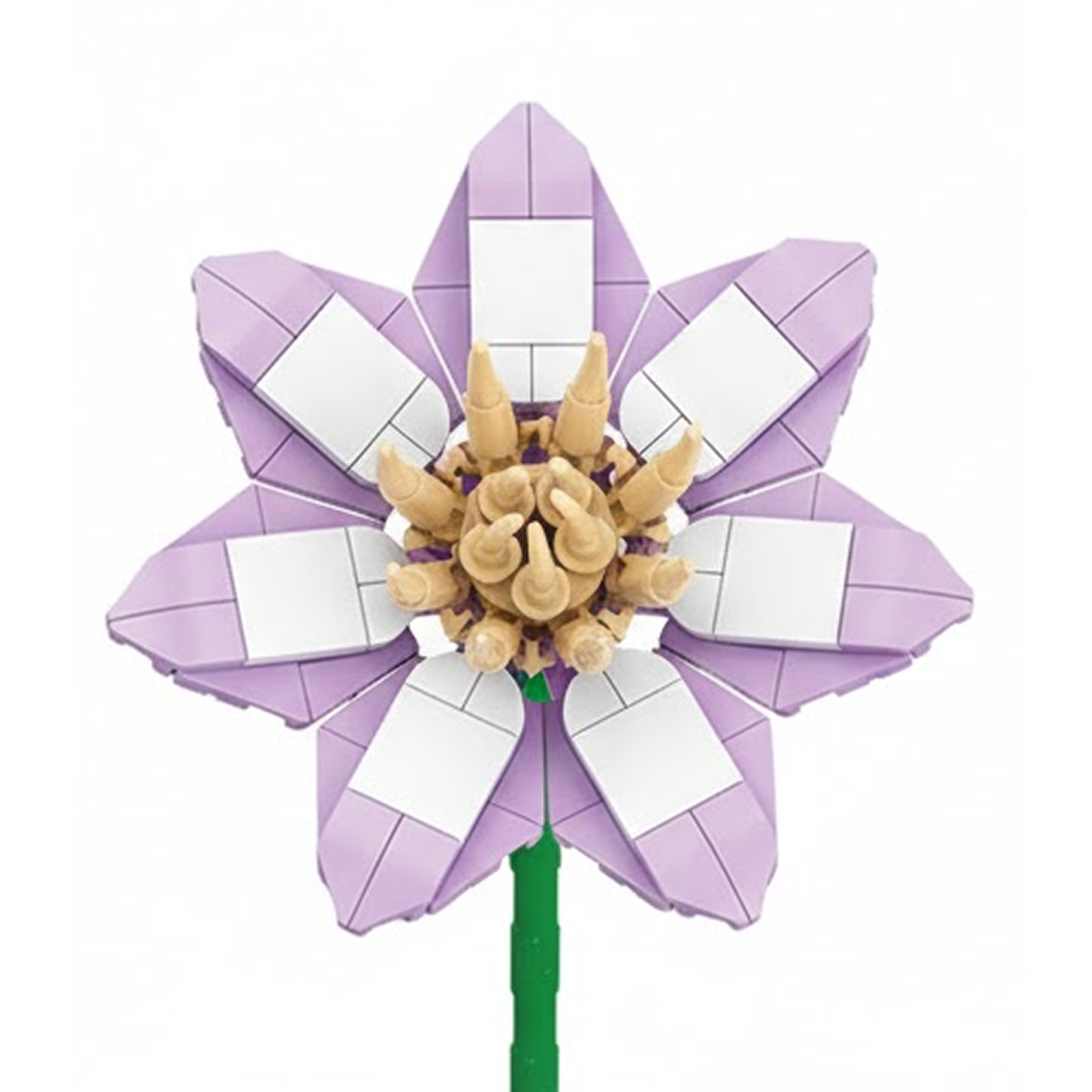 Clematis