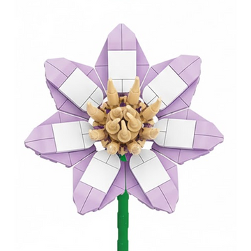 Clematis