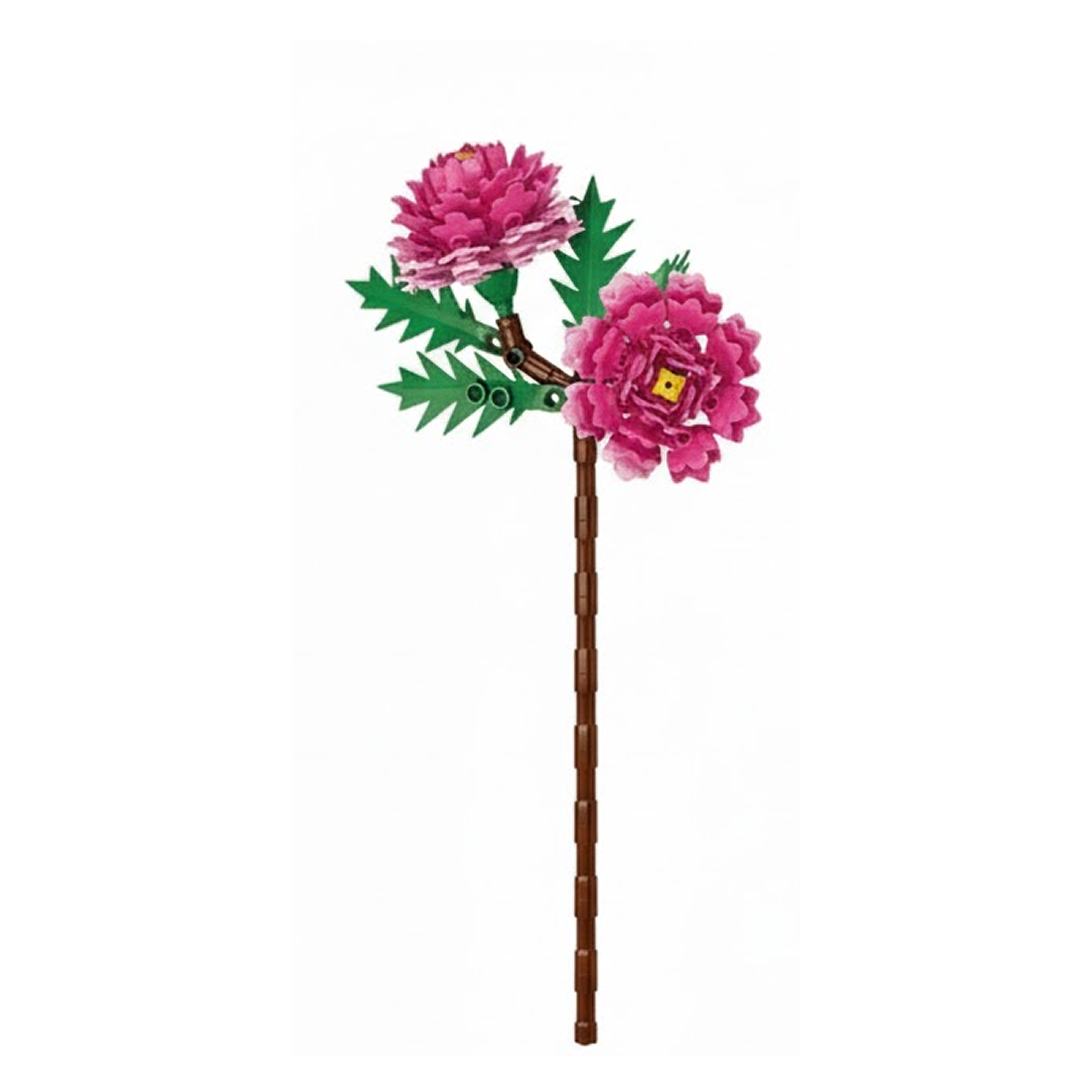 Peony