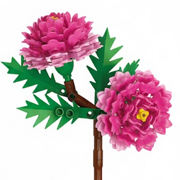 Peony