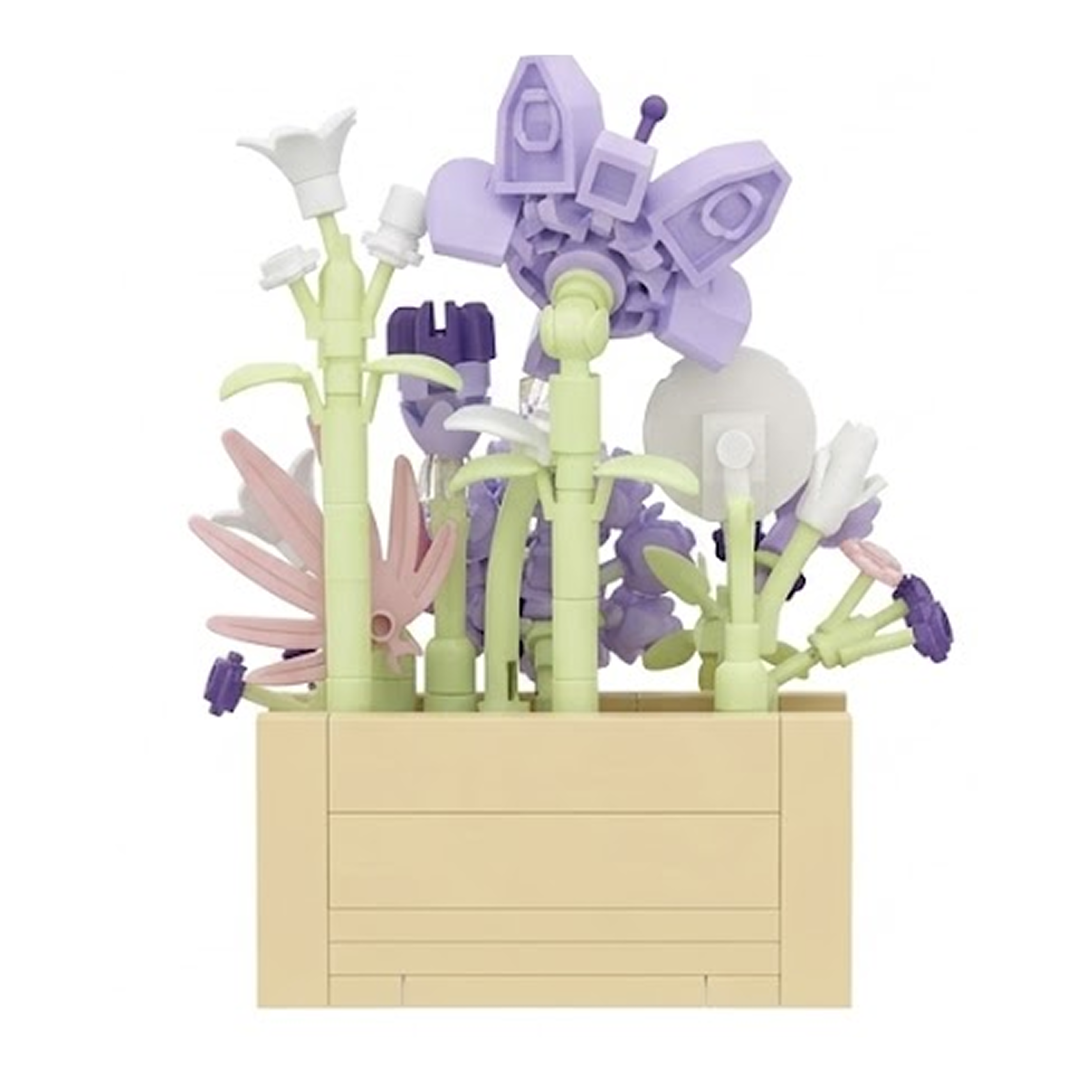 Purple Allium