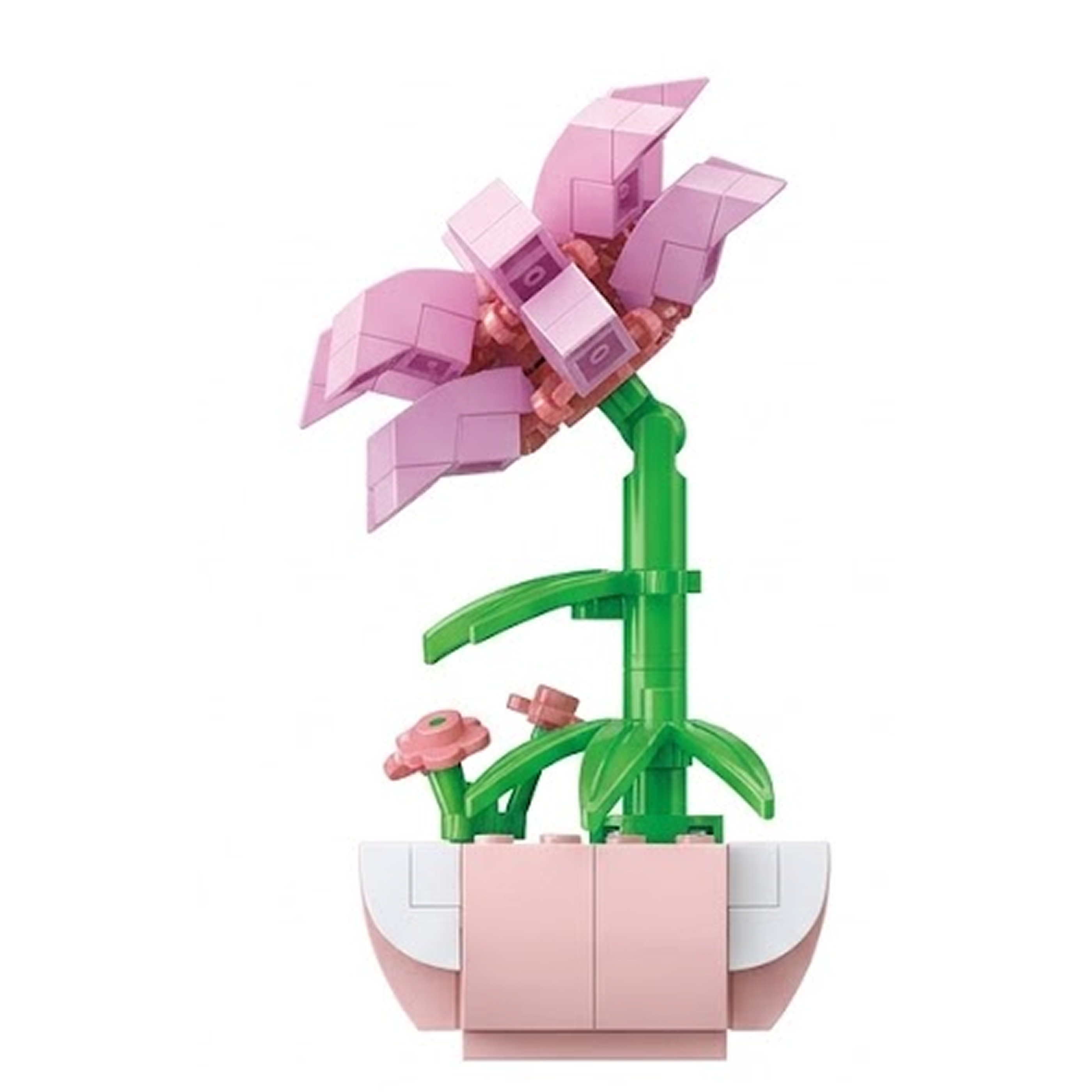 Mini Galsang Flower