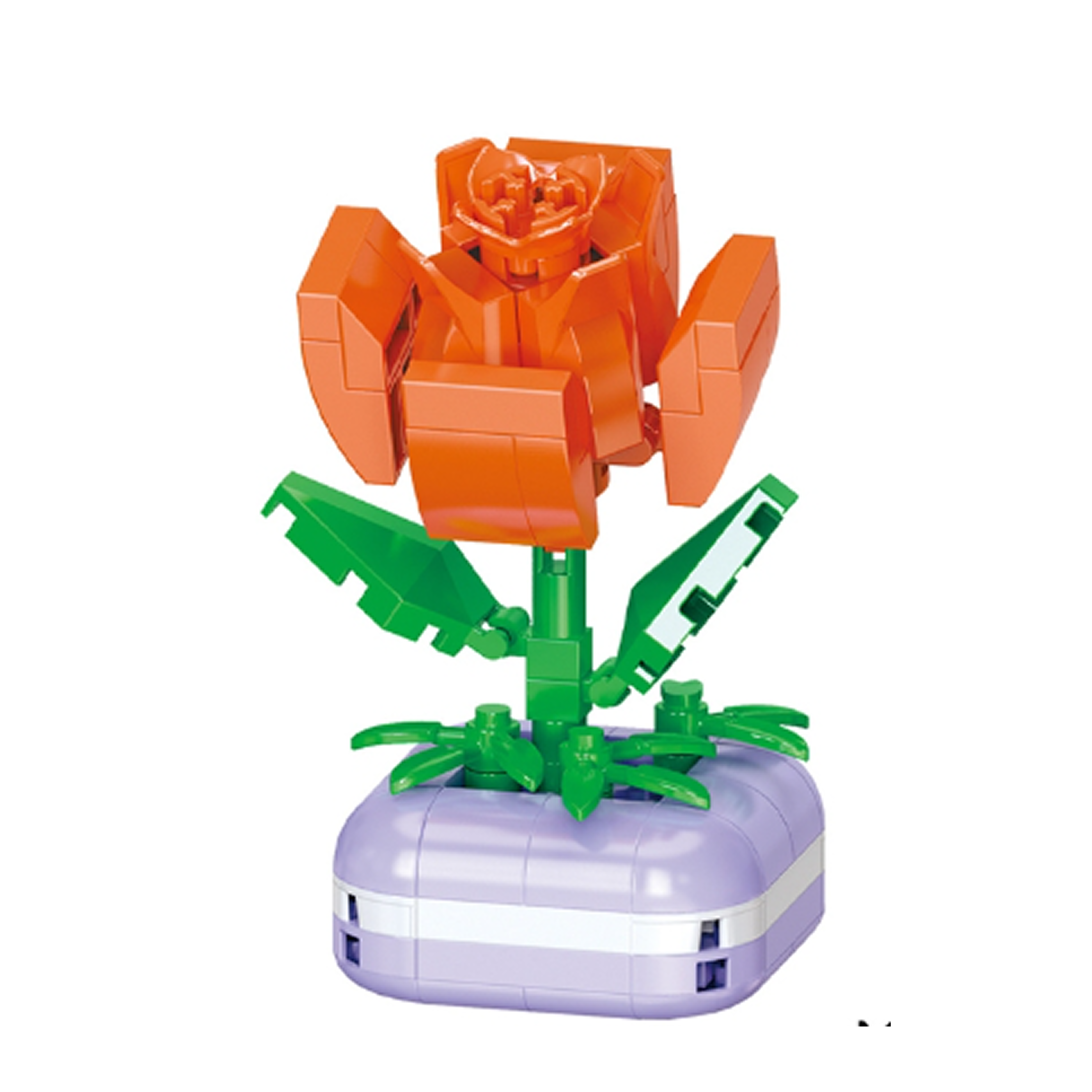 Mini Rosa Rogosa