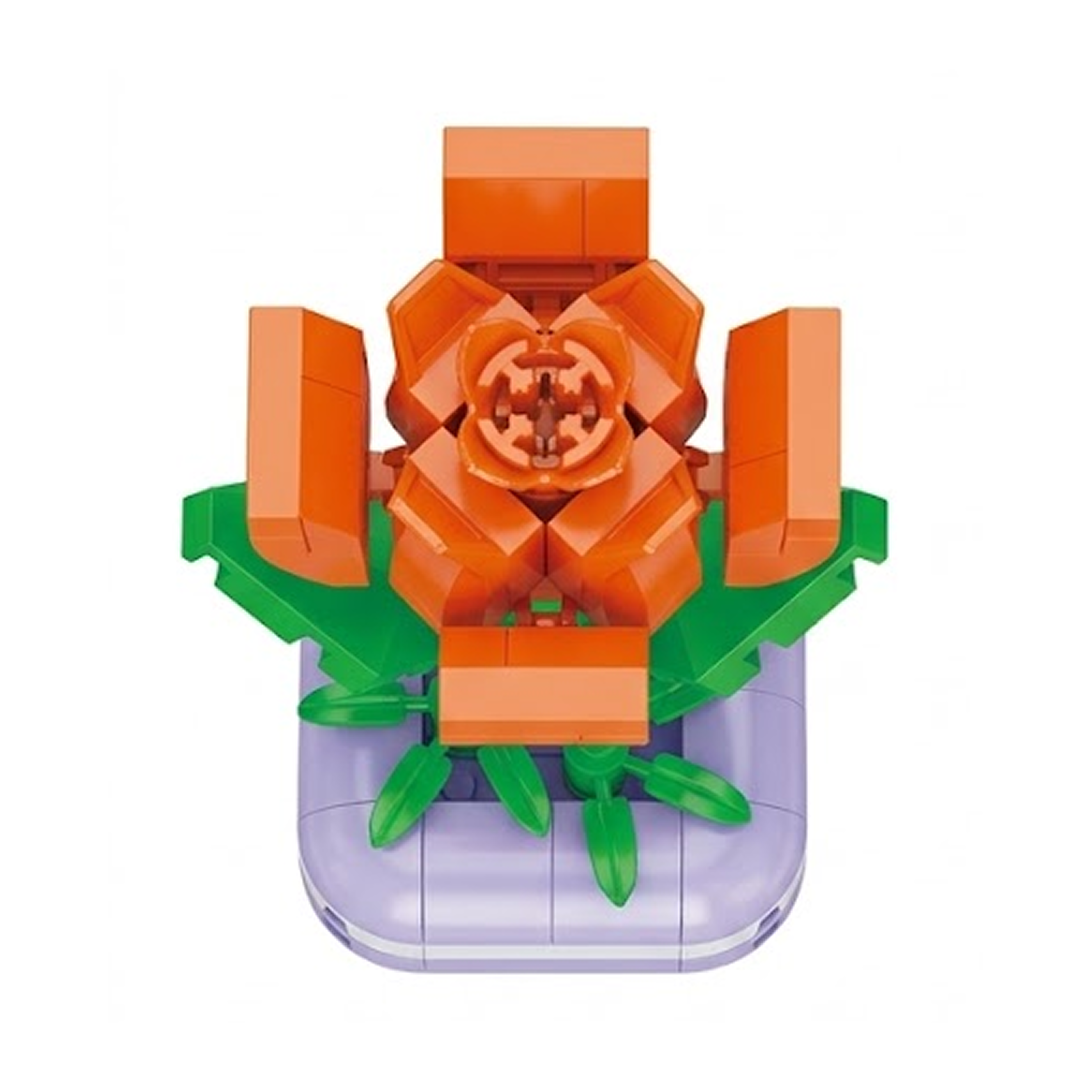 Mini Rosa Rogosa